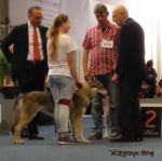 Pepples Ausstellung Dortmund 2016