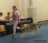 Pepples Ausstellung Dortmund 2016 6