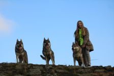 Pepples, Chu, Kalli und Kim
