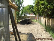 aus der Ferne ¦ 24.05.2008