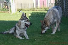 Pepples und Kalli