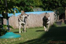 Pepples und Kalli