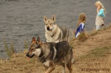 Sarik & Luke