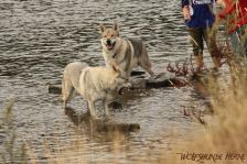 Delphi & Luke