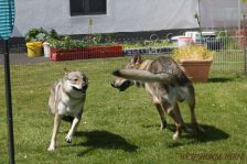 Floyd und Gwynni
