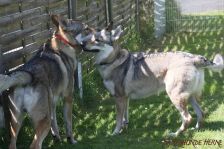 Floyd und Gwynni