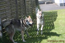 Floyd und Gwynni