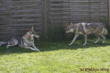 Floyd und Gwynni