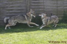 Floyd und Gwynni