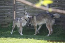Gwynni und Floyd