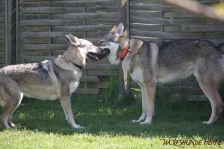 Gwynni und Floyd