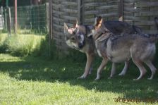 Floyd und Gwynni