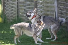 Gwynni und Floyd