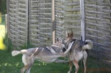 Gwynni und Floyd