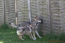 Gwynni und Floyd