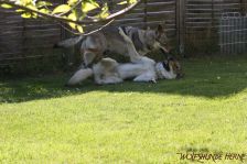 Gwynni und Floyd
