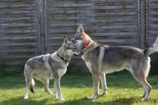 Gwynni und Floyd
