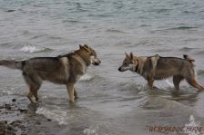 Luke und Easy