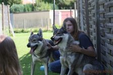 Jan mit Chunami und Pepples