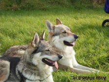 Shakira & Bandit ¦ 03.10.2004