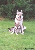Bandit & Baby-Shakira ¦ 13.09.2002