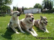 Chunami, Bandit & Shakira ¦ 11.05.2006