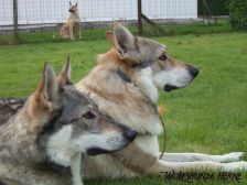 Shakira & Bandit ¦ 13.09.2004