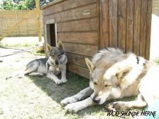 Chunami & Bandit ¦ 24.05.2008