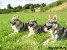 Bandit, Shakira & Chunami ¦ 15.07.2009