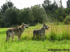 Bandit & Shakira ¦ 15.07.2009