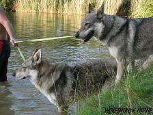 Bandit & Shakira ¦ 15.07.2009