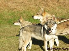 Shakira, Bandit & Chunami ¦ 15.10.2009