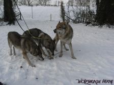 Shakira, Chunami & Bandit ¦ 21.12.2009