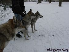 Bandit, Chunami & Shakira ¦ 21.12.2009