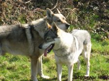 Bandit & Chunami ¦ 21.03.2009