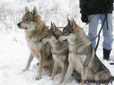 Bandit, Shakira & Chunami ¦ 03.01.2010