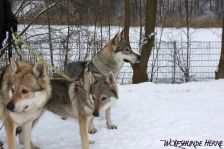 Bandit, Shakira & Chunami ¦ 15.02.2010