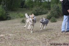 Bandit & Chunami ¦ 16.05.2010