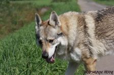 Bandit ¦ 01.09.2011
