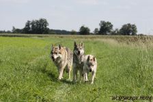 Bandit, Shakira & Delphi ¦ 01.09.2011