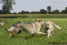Chunami & Delphi ¦ 01.09.2011