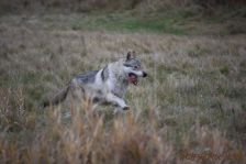 Delphi ¦ 08.12.2011