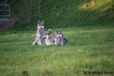 Chunami, Bandit & Shakira ¦ 09.04.2011
