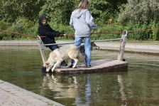 Delphi ¦ 09.10.2011