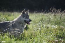 Delphi ¦ 14.10.2011