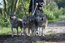 Chunami, Delphi, Shakira & Bandit ¦ 14.10.2011