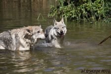 Bandit & Delphi ¦ 20.08.2011