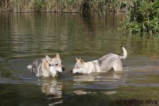 Bandit & Delphi ¦ 20.08.2011
