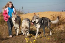 Kim, Bandit, Delphi & Chunami ¦ 23.10.2011