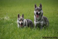 Delphi & Chunami ¦ 28.07.2011